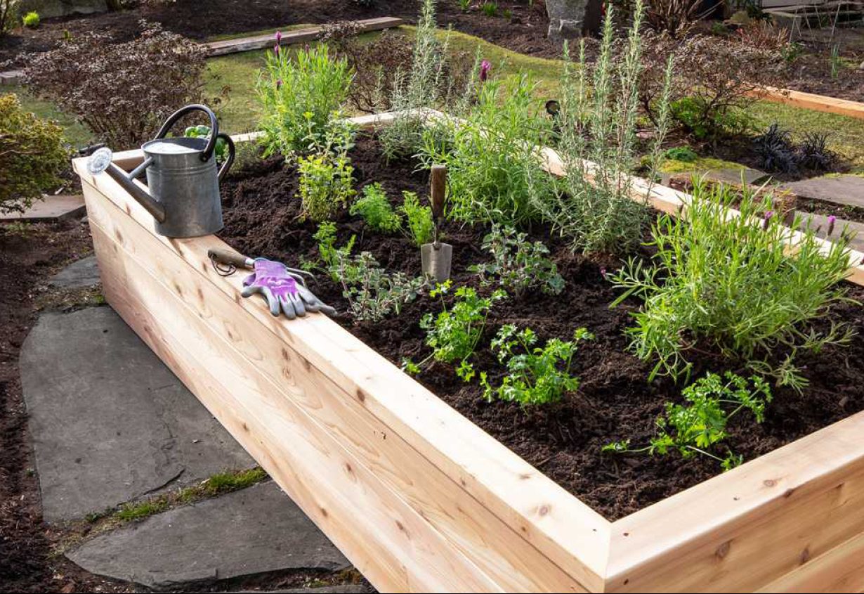 Building a Raised Garden Bed